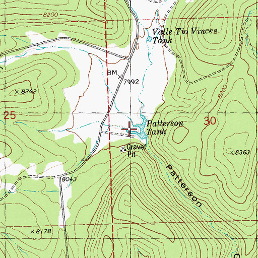 Topographic Map of Patterson Tank, NM