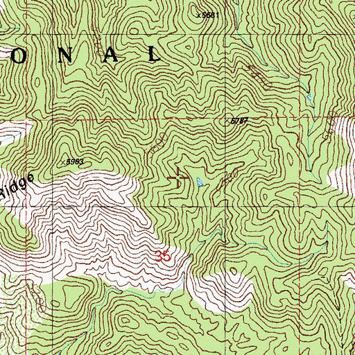Topographic Map of Pig Tank, NM