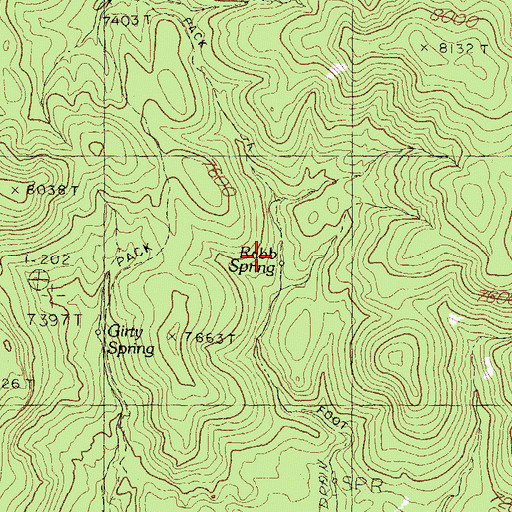 Topographic Map of Rabb Spring, NM