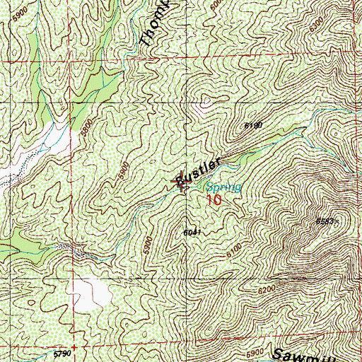 Topographic Map of Rustler Spring, NM