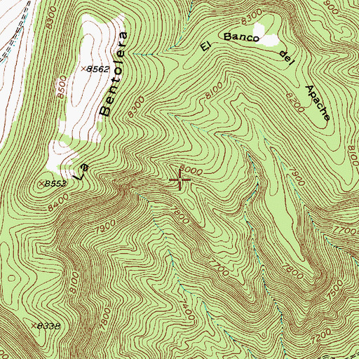 Topographic Map of San Lorenzo Trail, NM