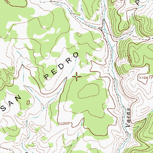 Topographic Map of San Pedro Parks Wilderness, NM