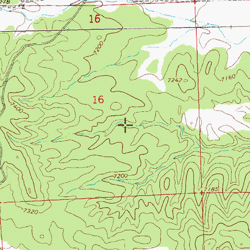 Topographic Map of Section Tank, NM