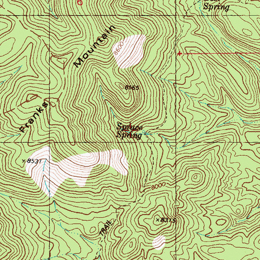 Topographic Map of Spruce Spring, NM