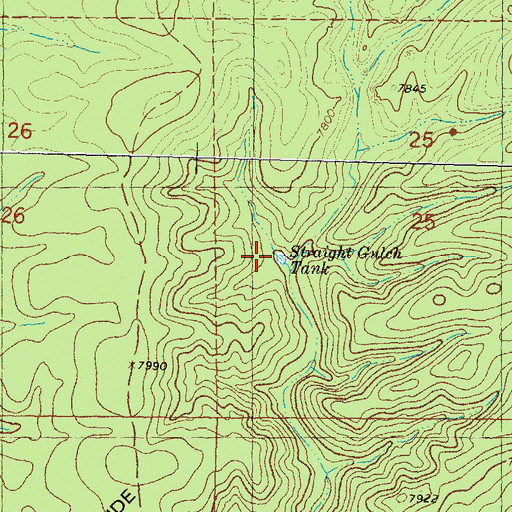 Topographic Map of Straight Gulch Tank, NM