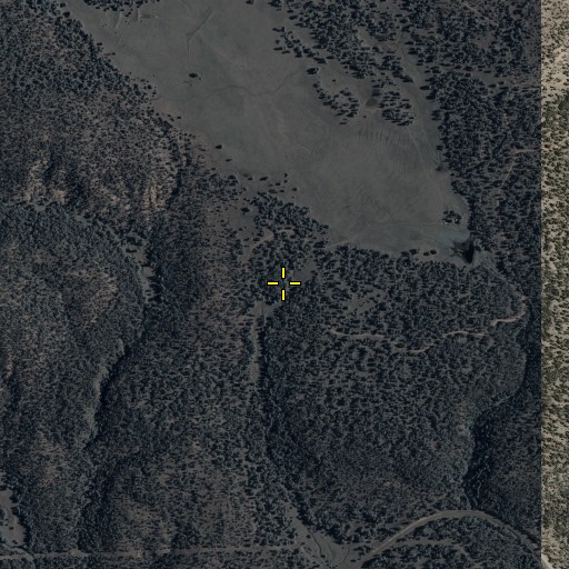 Aerial/Satellite Image of Trap Spring, NM