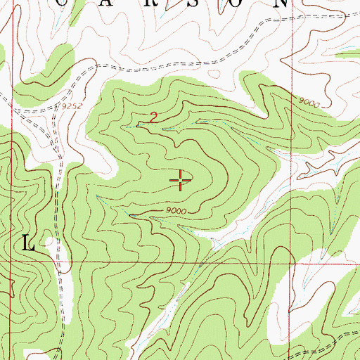 Topographic Map of Tres Piedras Ranger District, NM