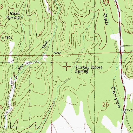 Topographic Map of Turkey Roost Spring, NM