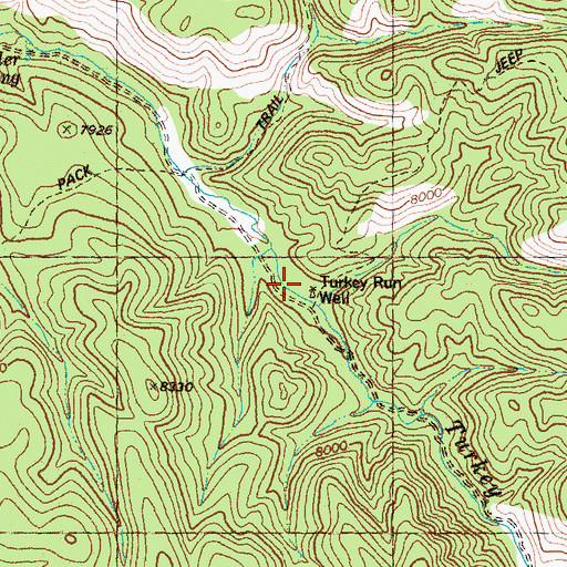 Topographic Map of Turkey Run Well, NM