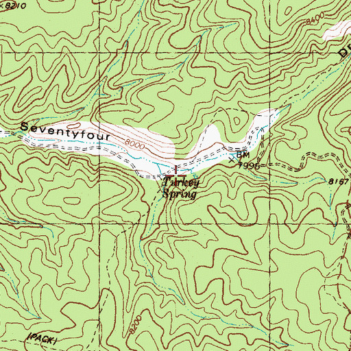 Topographic Map of Turkey Spring, NM