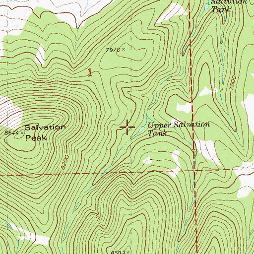 Topographic Map of Upper Salvation Tank, NM