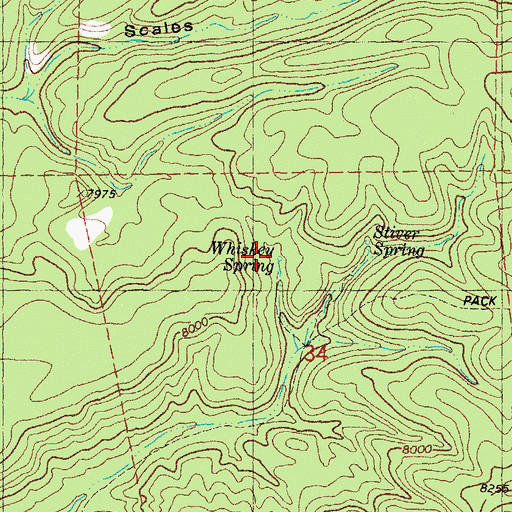 Topographic Map of Whiskey Spring, NM