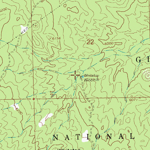 Topographic Map of Whitetop Well, NM