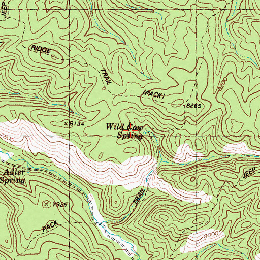 Topographic Map of Wild Cow Spring, NM