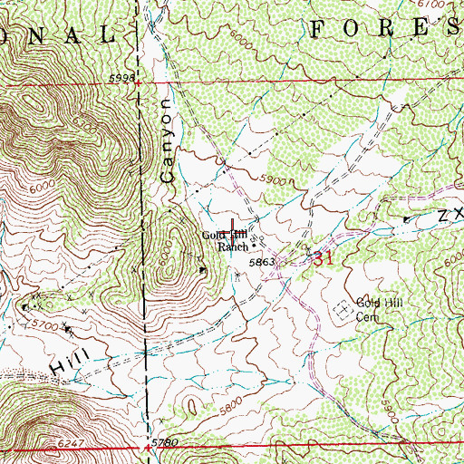 Topographic Map of WO Ranch, NM