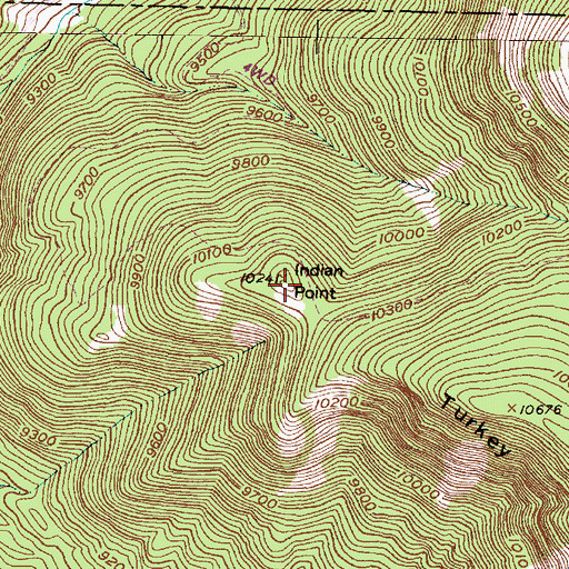 Topographic Map of Indian Point, NM