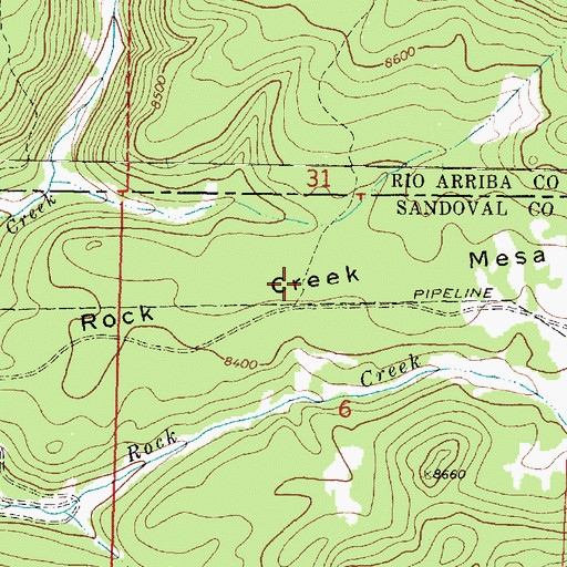 Topographic Map of Rock Creek Mesa, NM