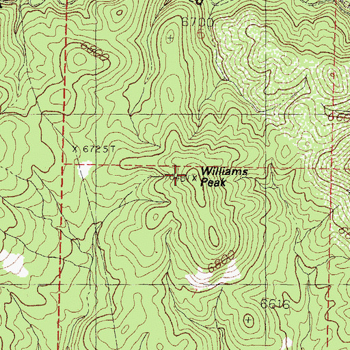 Topographic Map of Williams Peak, NM