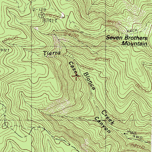 Topographic Map of Casey Canyon, NM
