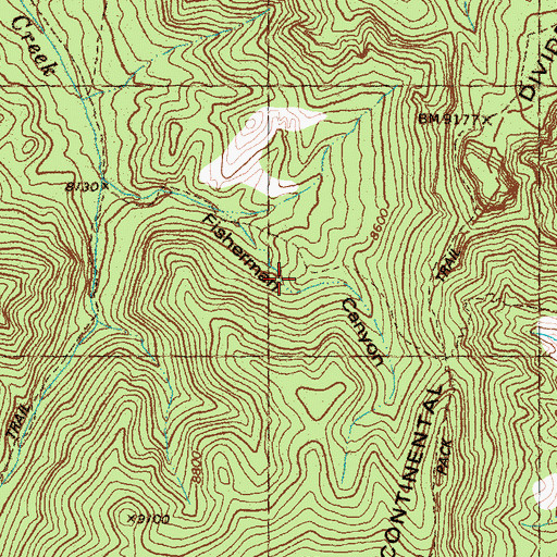 Topographic Map of Fisherman Canyon, NM