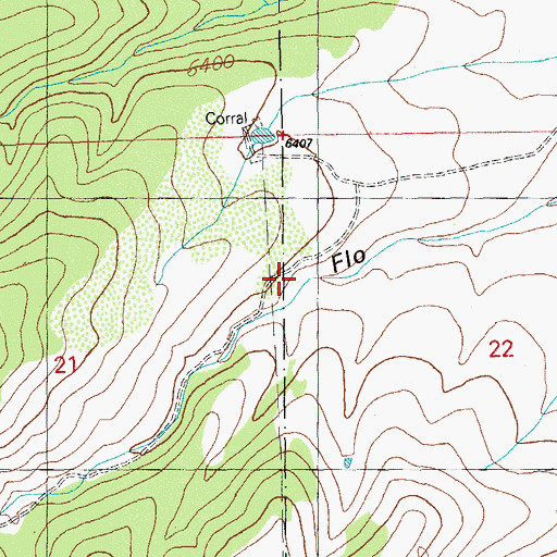 Topographic Map of Flo Canyon, NM