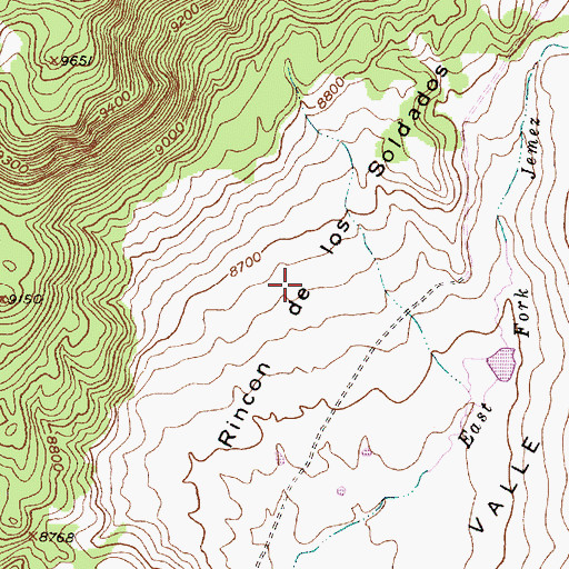 Topographic Map of Rincon de los Soldados, NM