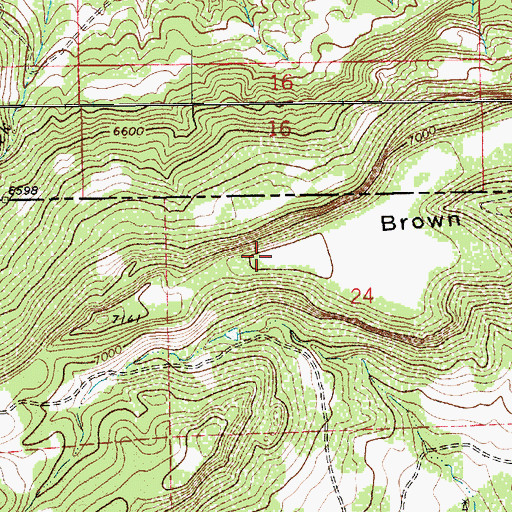 Topographic Map of Brown Mesa, CO
