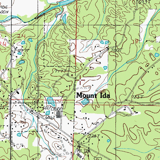 Topographic Map of Mount Ida Elementary School, AR