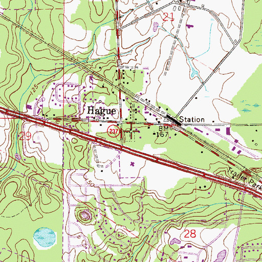 Topographic Map of Hague Cemetery, FL