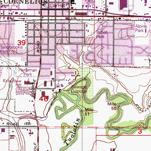 Topographic Map of Steamboat City Park, OR