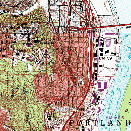 Topographic Map of Heritage Tree Park, OR