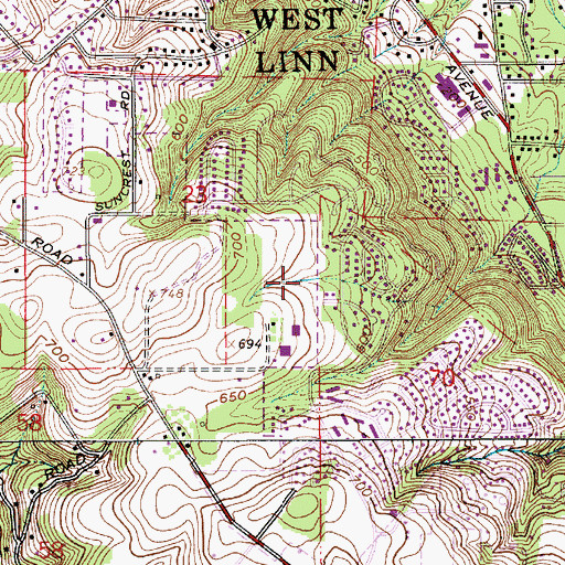 Topographic Map of Benski Park, OR