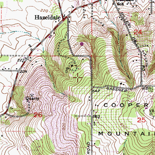 Topographic Map of Camp Rivendale, OR