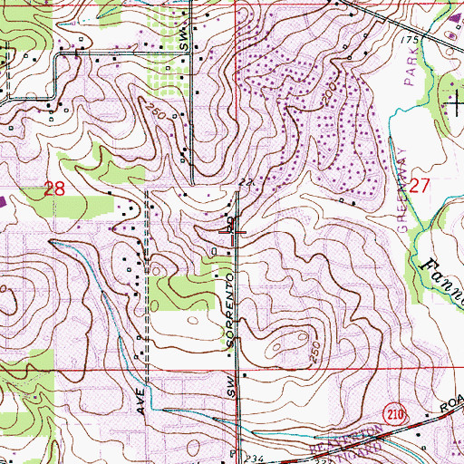 Topographic Map of Downing Bike Path, OR