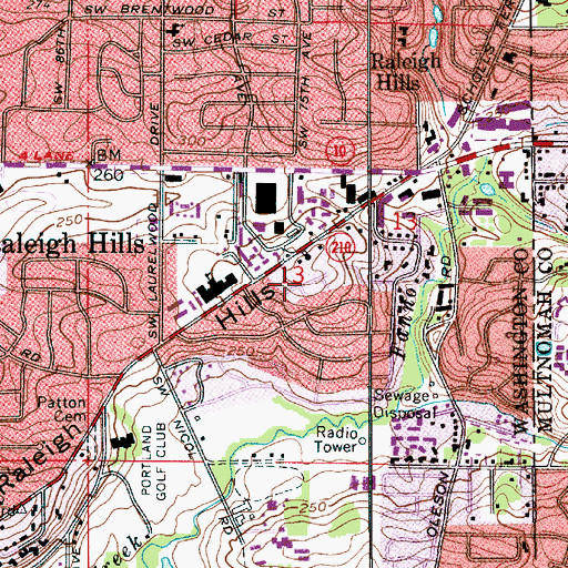 Topographic Map of Raleigh Scholls Park, OR