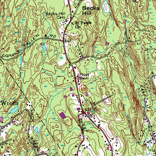 Topographic Map of Hoyt Cemetery, NY