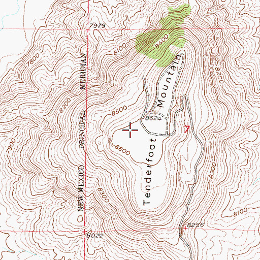 Topographic Map of KGUC-FM (Gunnison), CO