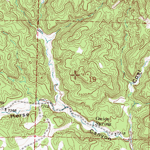 Topographic Map of Bailey Butte, NM