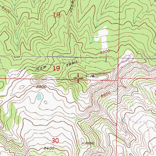 Topographic Map of KSNO-FM (Snowmass Village), CO