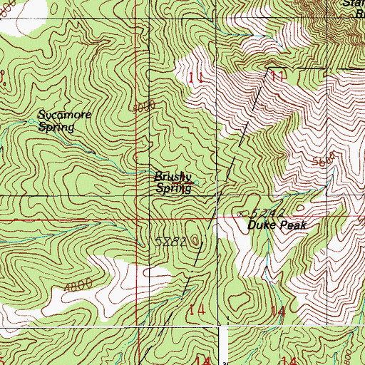 Topographic Map of Brushy Spring, AZ