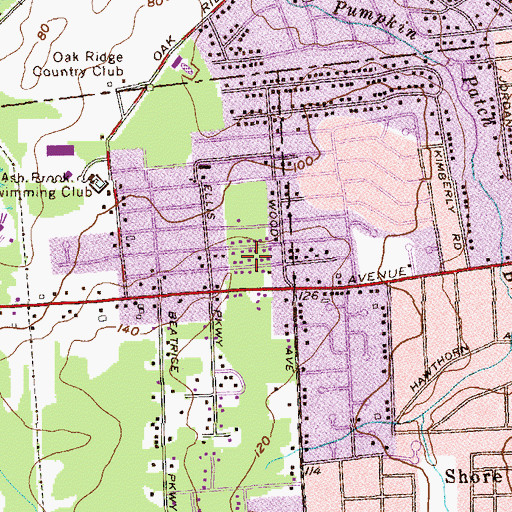 Topographic Map of Bushnells Riding Academy (historical), NJ