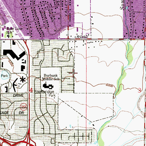 Topographic Map of Lemons Private Strip, CO