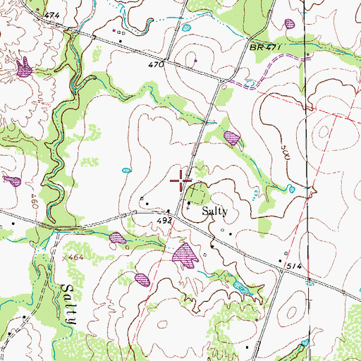 Topographic Map of Salty Cemetery, TX