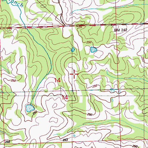 Topographic Map of Cameron Cemetery, MS
