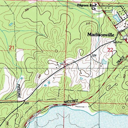 Topographic Map of Johnson Family Cemetery, MS