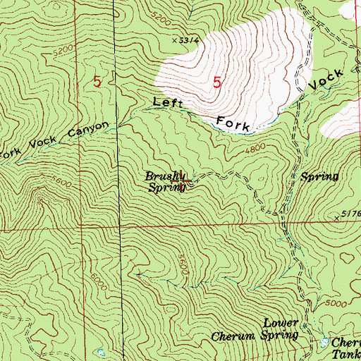 Topographic Map of Brushy Spring, AZ