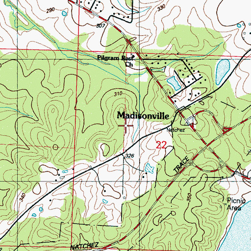 Topographic Map of Wiggins Family Cemetery, MS