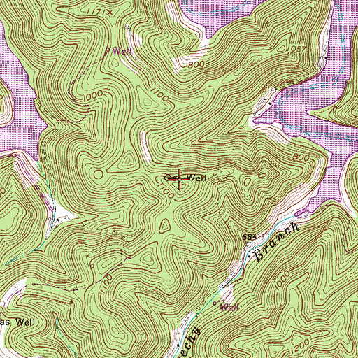 Topographic Map of East Lynn Lake Wildlife Management Area, WV