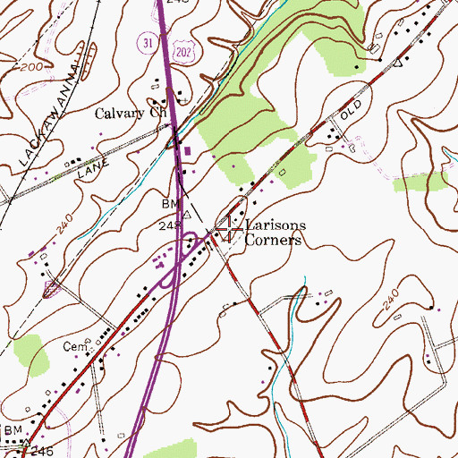 Topographic Map of Larison's Corner Cemetery, NJ