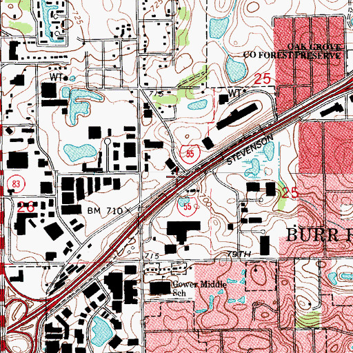 Topographic Map of Gower School (historical), IL